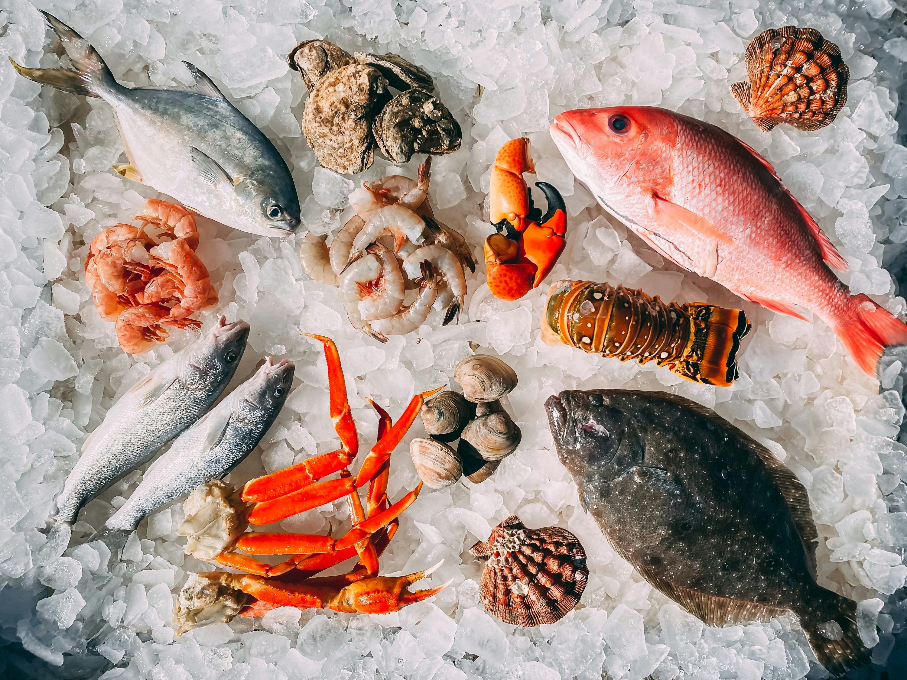 Dubai Fish Company History